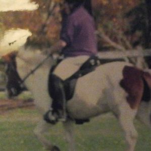 Meet your Posher, Margo